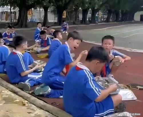 深圳吃饭爆料视频最新,最新爆料视频带你领略地道风味